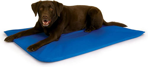 Pet products h dog - products, k&h